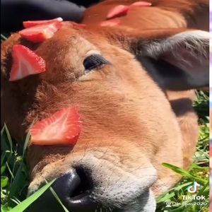 Meet your Posher, Stephen